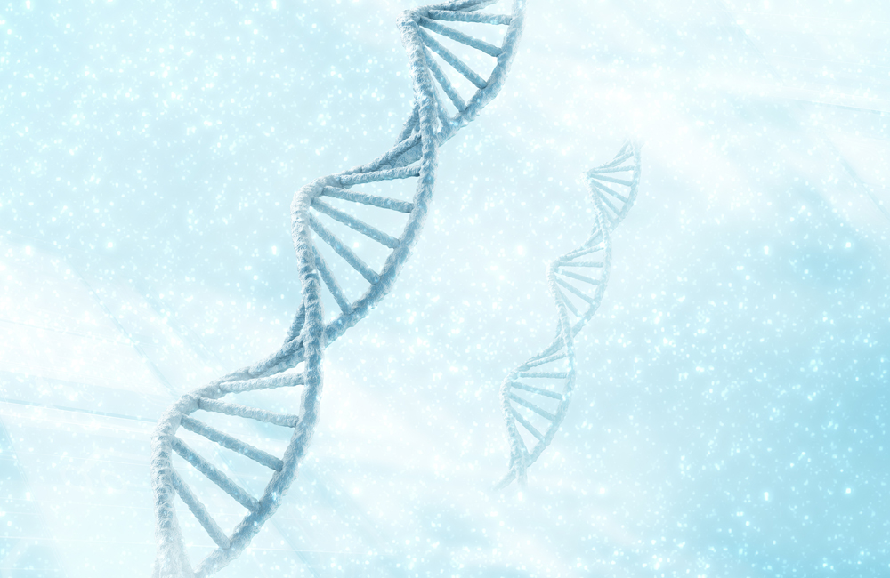 DNA or RNA sequences
